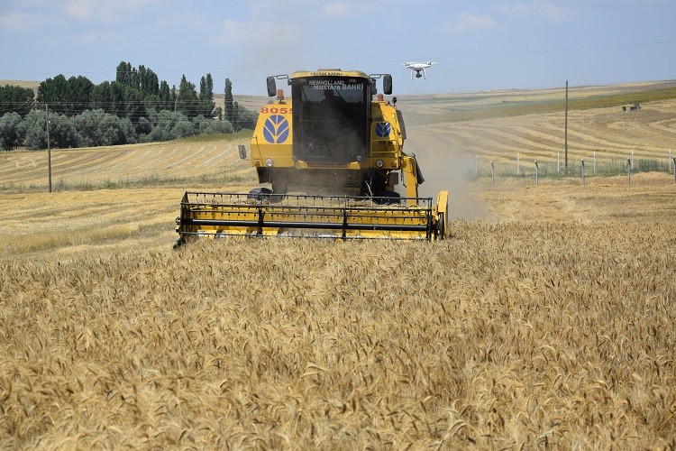 Yozgat, Türkiye'de Buğday Ekiliş Alanına Göre 5. Sırada