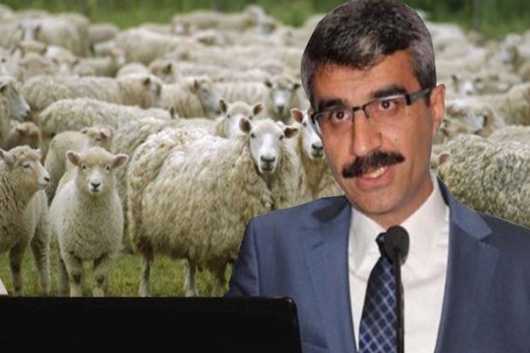 Böyle torpil görülmedi: Yardımların tümü AK Parti'lilere!