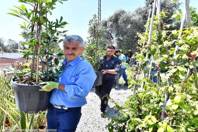 Hollandalılar da "Büyükşehir modelini" uygulayacak 