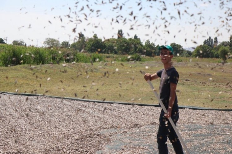 Çin'den İthal Ediliyordu, Kayseri'de Ürettiler