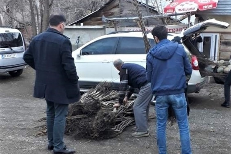 Çiftçilere Hibe Meyve Fidanı Dağıtımı Yapıldı