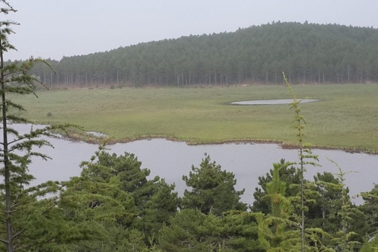 Balık Ölümlerinin Yaşandığı Süleymanlı Yayla Gölü’nün Suyu Temiz Çıktı