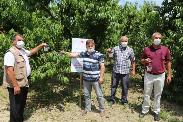 “Meyve Sinekleri ile Biyoteknik Mücadele” Projesi Çalışmaları Başladı