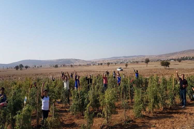 Gönüllü Gençler Goji Berry Meyvesiyle Tanıştı