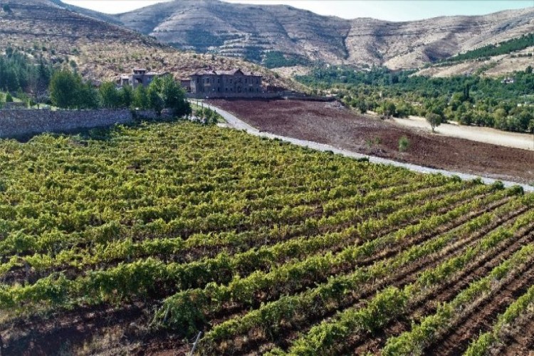 Bağ Bozumu Turizmine Katkı Sunacak: Köye Saray Gibi Otel