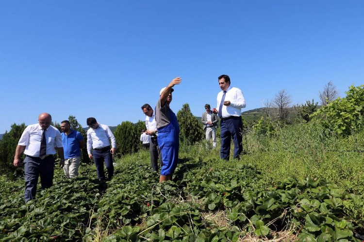 Ülkemizde Organik Tarım Faaliyetleri Her Gün Daha Da Artış Gösteriyor