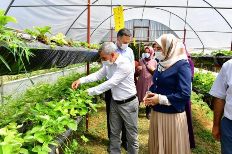 “Kooperatifimizin Faaliyetleri, Tarımsal Kalkınma Hedeflerimize Katkı Sunacak”