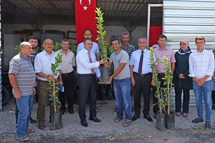 Evinin Limon İhtiyacını Karşılasın Diye Fidan Dağıtıldı