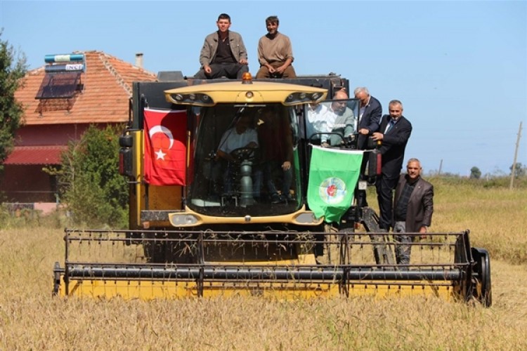 Bafra’da 4. Çeltik Hasat Etkinliği Yapıldı