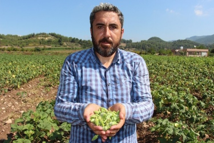 Yöneticiliği Bırakıp Çiftçi Oldu, "Huzuru Tarımda Buldum" dedi