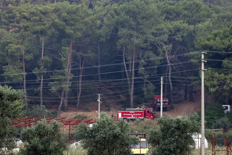 Tarım Ve Orman Bakanlığından Orman Yangınları Açıklaması