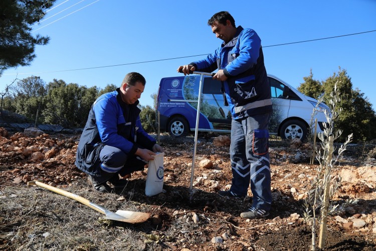 Türkiye’nin tarımına Muğla’dan büyük katkı