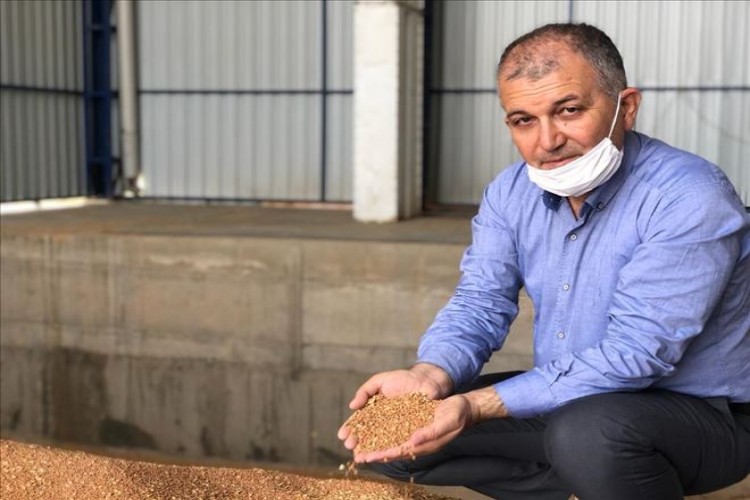 Sezonun İlk Mercimek Fiyatı Belli Oldu