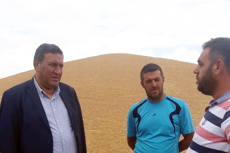 Buğday Üreticileri TMO'yu Milletvekili Gürer'e Şikayet Ettiler