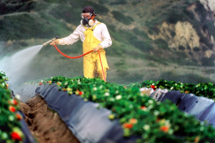 Pestisitlere dayalı tarım sistemi değişecek