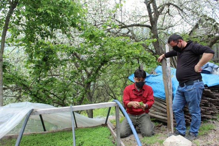 COVID-19 sürecinde gıda arzındaki bolluğa rağmen dağıtımdaki aksaklıklar dikkat çekiyor