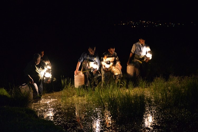 Yahyalı’dan İtalya ve Fransa Gibi Ülkelere İhraç Ediliyor