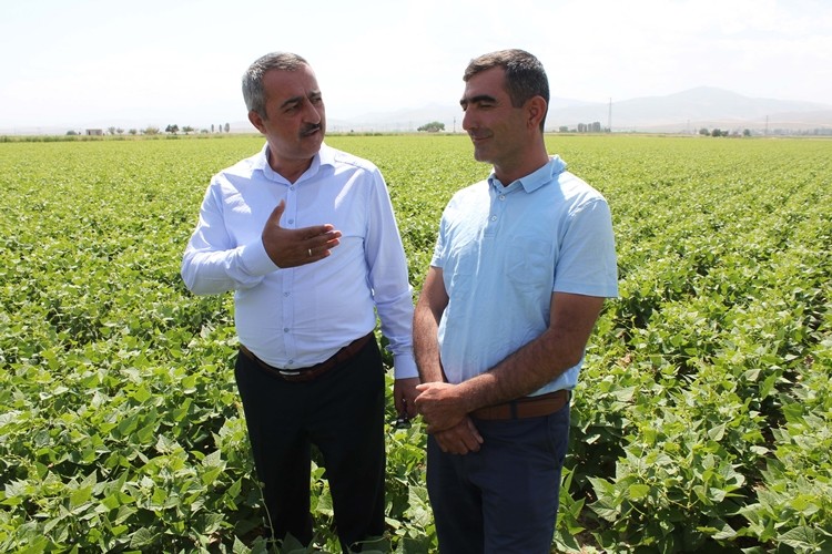 Niğde Barbunyası Marka Olma Yolunda