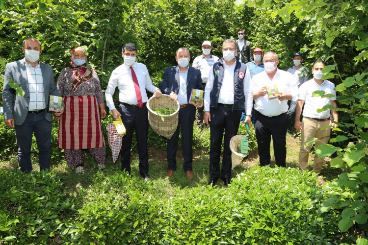 Vona Çayı ORTAR Markasıyla Satılacak