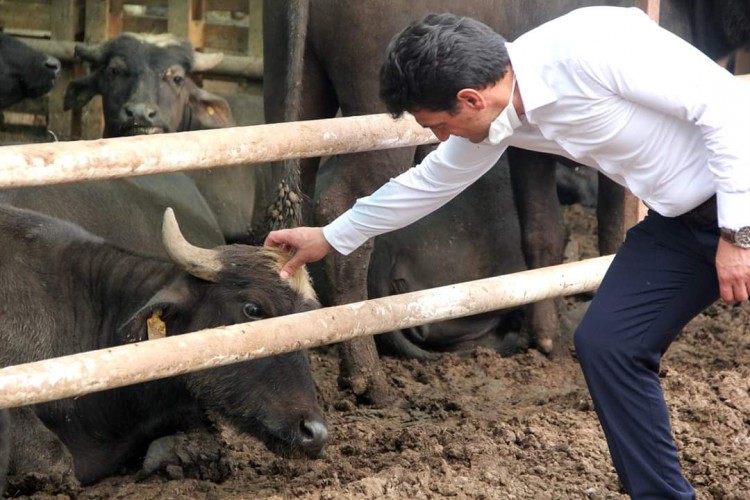 Kurban Bayramı için hazırlık ve denetimler devam ediyor