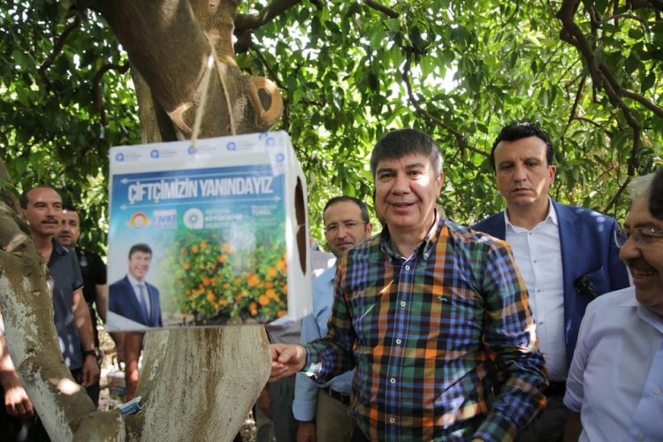 Türel, Finike’de çiftçiye faydalı böcek dağıttı