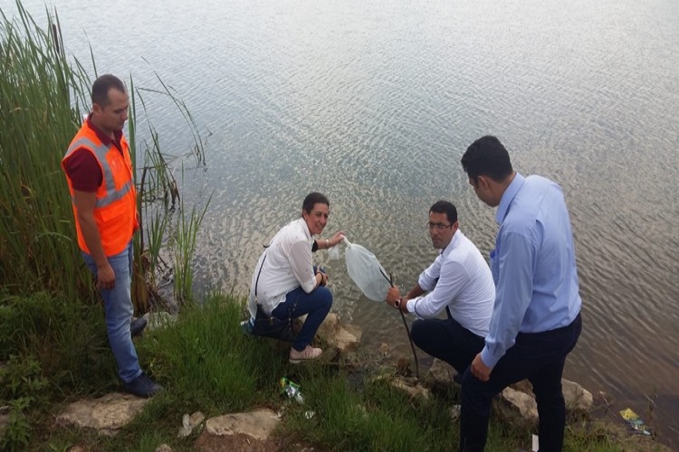 Sakarya'da Balıklandırma Projesi Devam Ediyor