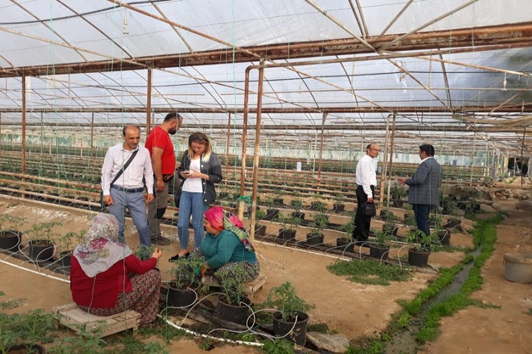 Kemer Kardeş İlçe Simav’a Teknik Ziyarette Bulundu