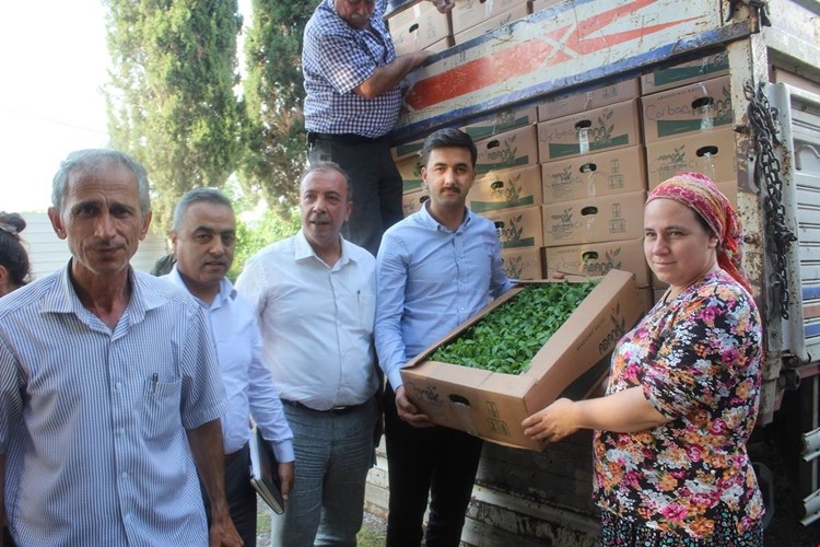 Toprakkale'de Kadın Çiftçilere Lalegölü Biberi Fidesi Dağıtıldı