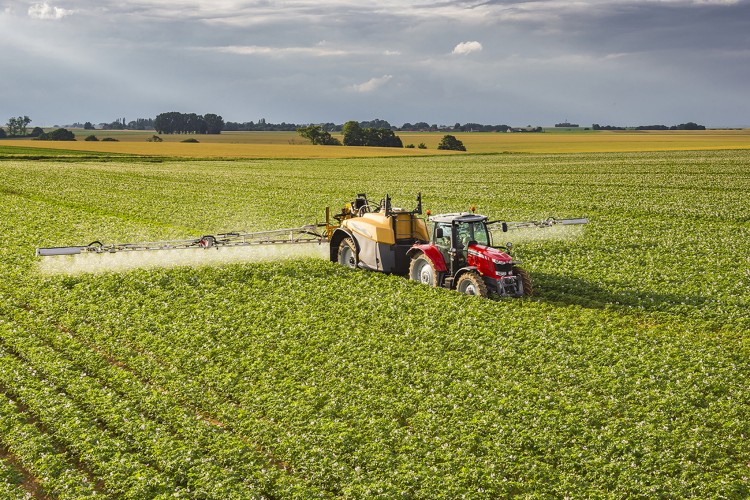 Massey Ferguson, “Potato Days Turkey”e Katılıyor