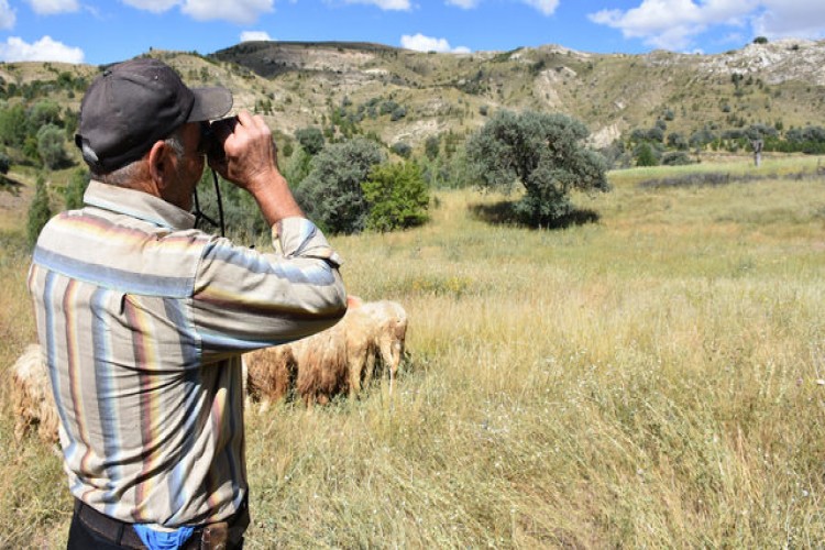 Yer: Sivas! Dürbünle Bakarken Fark Etti, Gördüğüne İnanamadı!