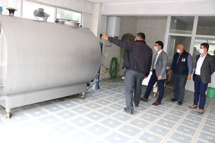 Akköy’de Her Gün 1.500 Litre Süt Toplanıyor