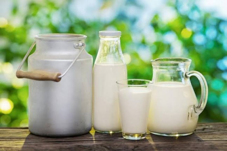 Bakan Pakdemirli ; 329,4 Milyon Çiğ Süt Destek Ödemesi Cuma Günü Hesaplara Yatıyor