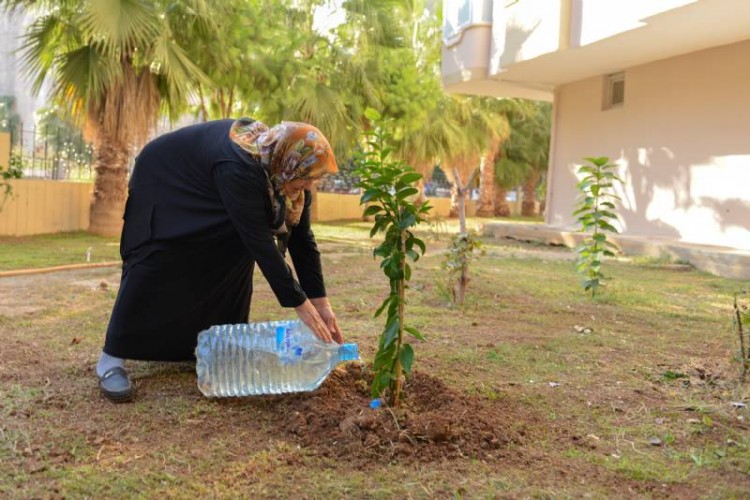 Kızı İçin Her Yıl Fidan Diken Anneye Büyükşehir’den Destek