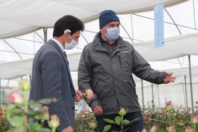 Süs Bitkileri Üreticileri Anneler Gününde Nefes Aldı