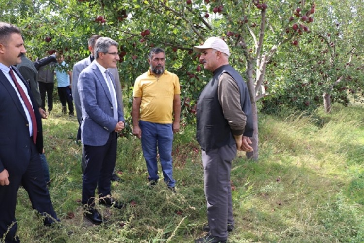 Ağrı’da Elma Hasat Etkinliği Düzenlendi