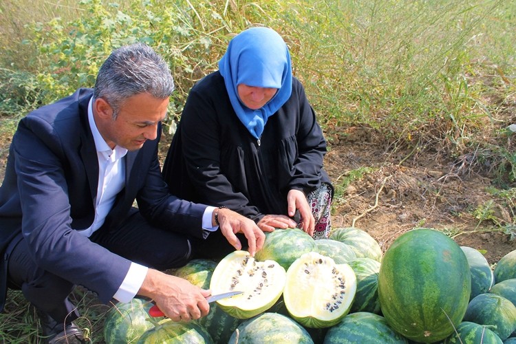 Sarı Karpuzun Çekirdeklerinde Arapça Allah Lafzı Ve Elif Harfleri Çıktı