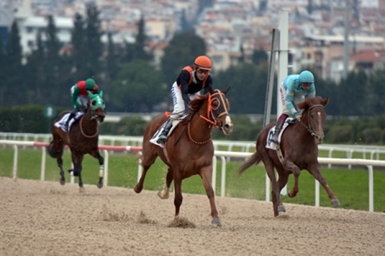 At Yarışları İçin Karar Mayıs’ta Alınacak