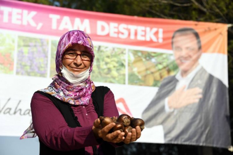 Büyükşehir ile Toroslar’ın etekleri nergis kokacak