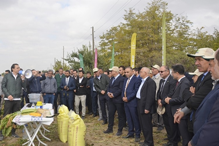 Şekerpancarına Özel Gübre İle Verim Yüzde 65 Katlandı