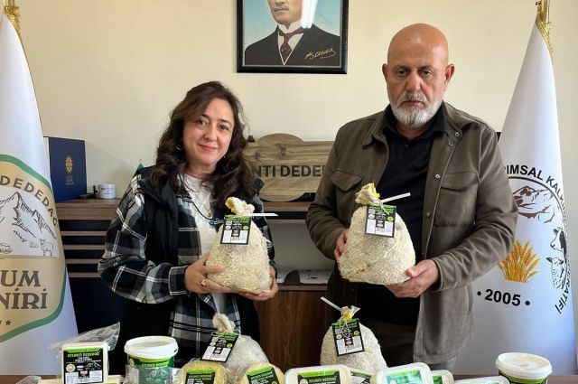 Dayanışmanın Tadı: Atlantı’dan Sofraya Uzanan 300 Yıllık Lezzet ve Kooperatif Ruhu