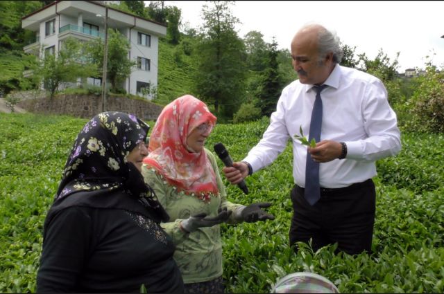 Toprağın Sahibi Çok, Bekçisi Yok: Karadeniz’in Gurbetçi Tarımı
