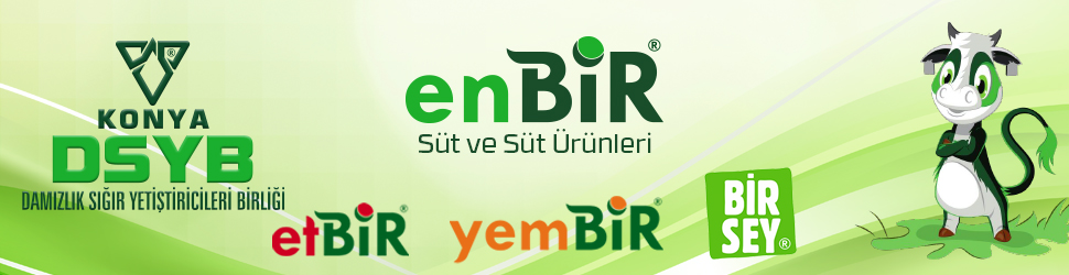 ENBİR