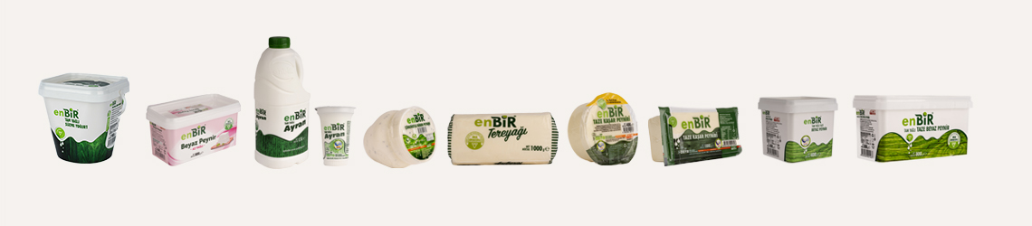 ENBİR