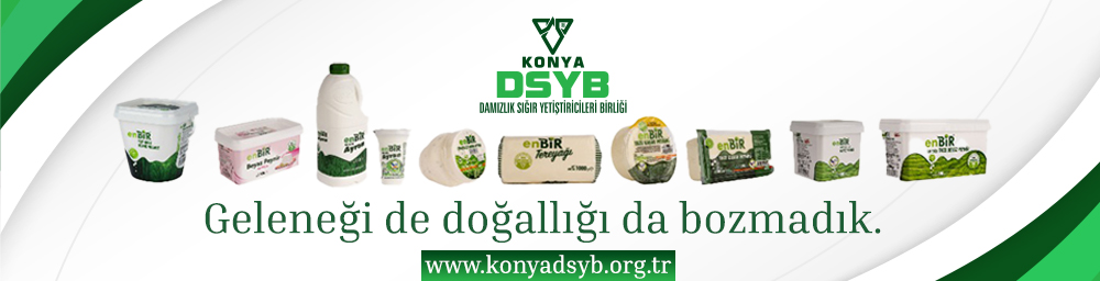 ENBİR