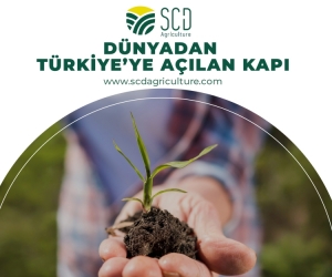 SCD Agriculture