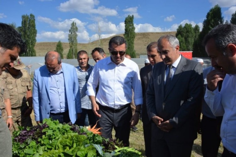 24 Çiftçiye Vali Memiş Tarafından Sera Tapuları Verildi