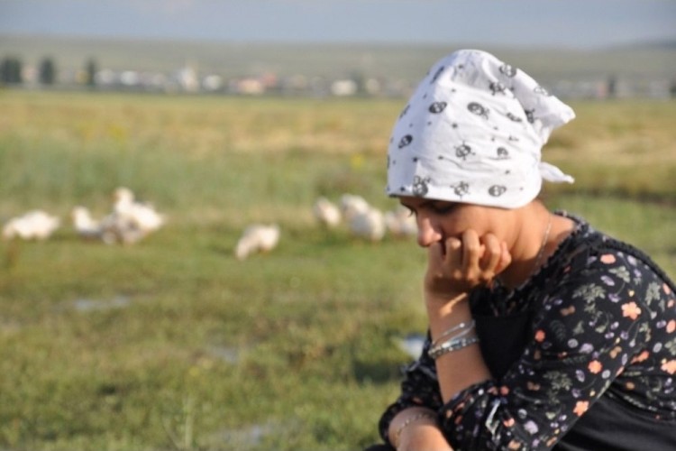 Umutlarını Ve Hayallerini Kazlarıyla Birlikte Toprağa Gömdü