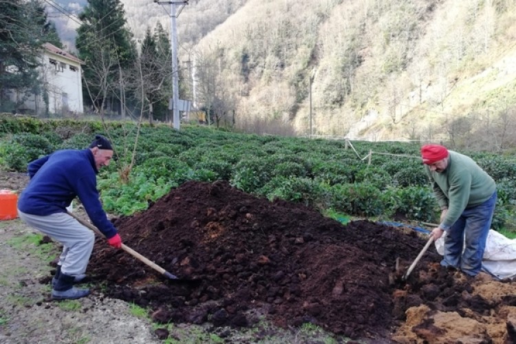 Çay Fabrikalarının Çay Atıkları, Toprağın Gıdasıdır