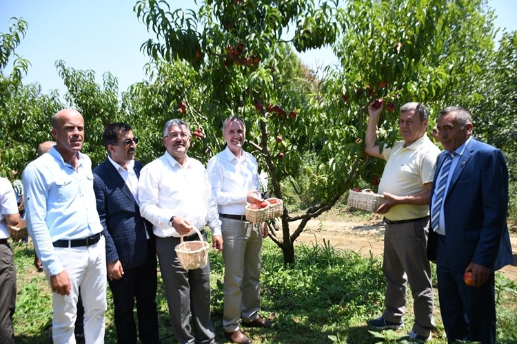 Şeftalinin Başkentinde Hasat Festivalle Başladı