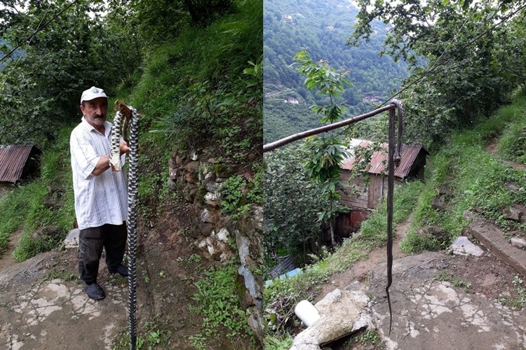 Trabzonlu çiftçi sopayla öldürdü! Yuvasına gitti manzara dehşete düşürdü